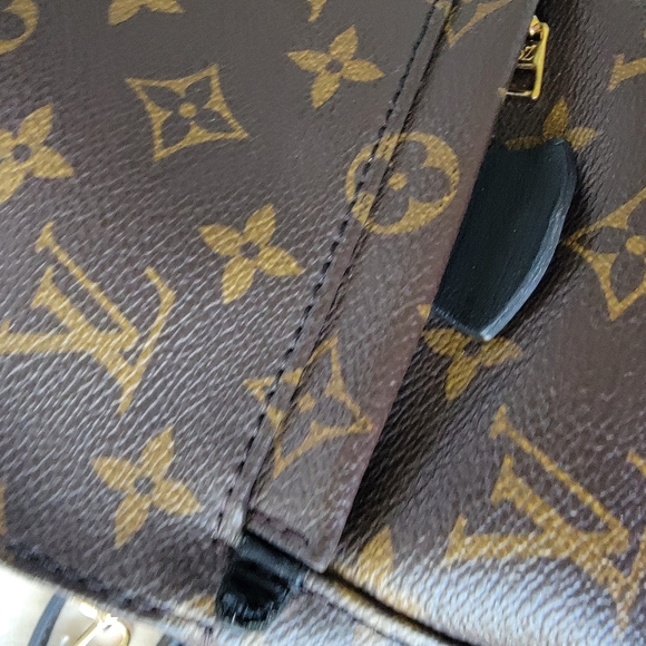 Louis Vuitton Palm Spring Mini Backpack - Picture 11 of 16